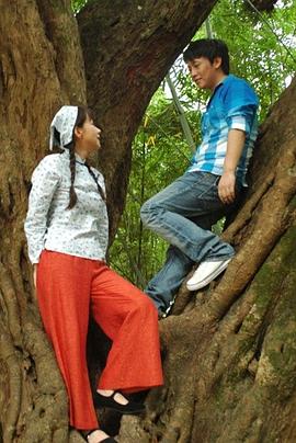 藏海花电影海报